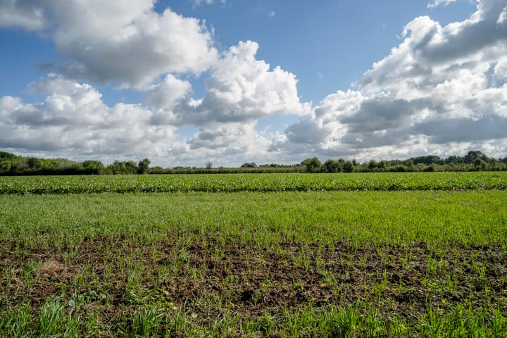 Foto 52 van Dorpbroekstraat 33