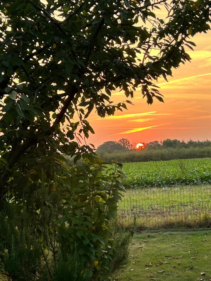 Foto 60 van Dorpbroekstraat 33