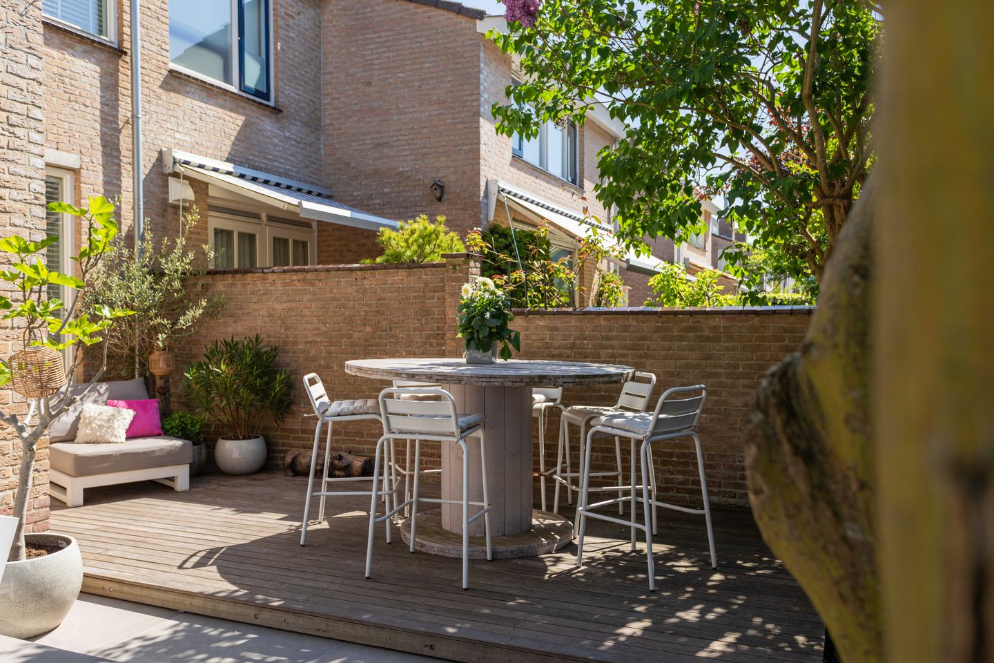 Photo 14 of Schapenweide 1