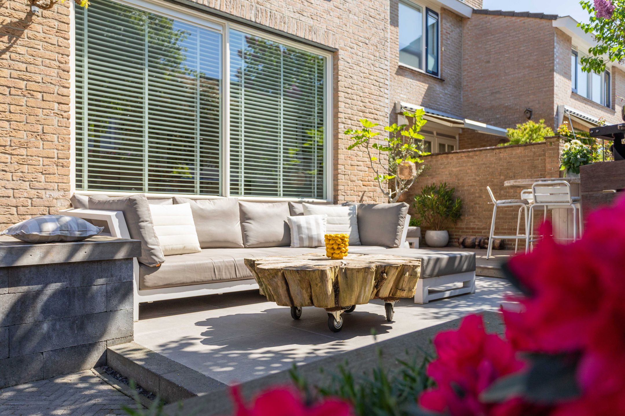 Photo 12 of Schapenweide 1