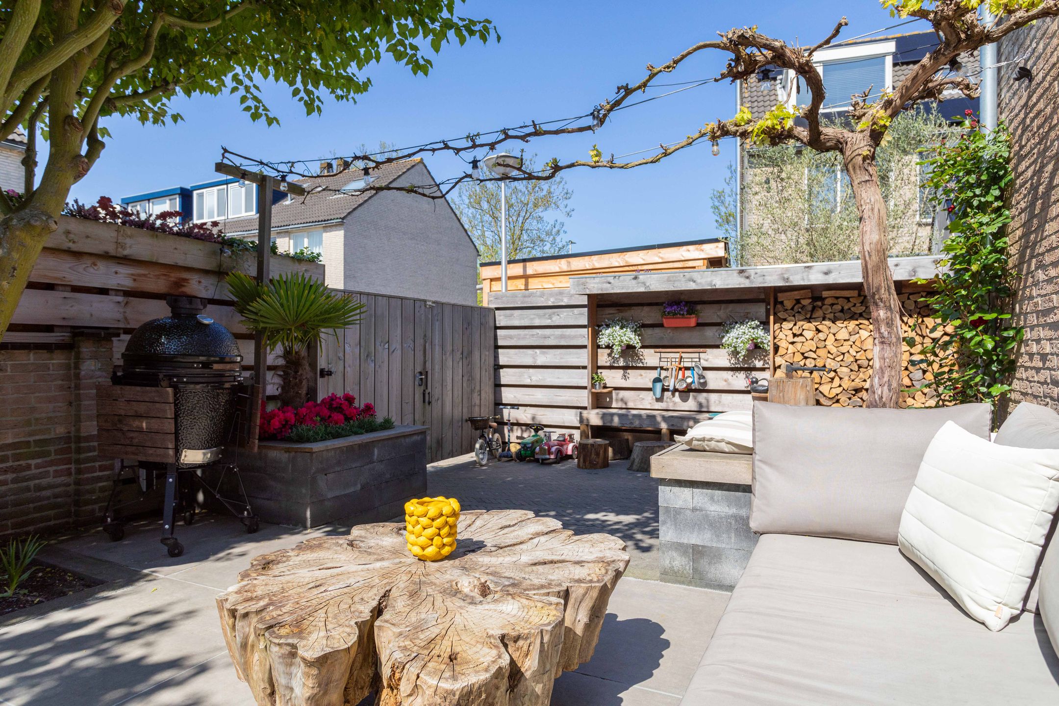 Photo 18 of Schapenweide 1