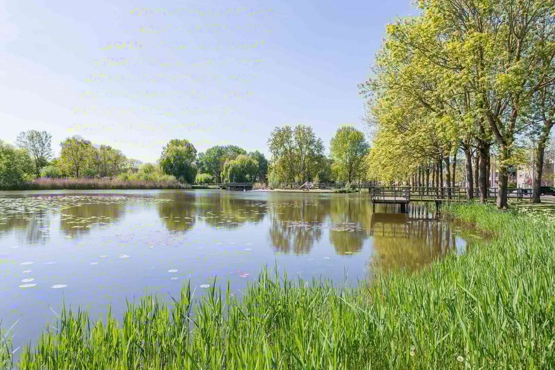 Photo 61 of Schapenweide 1