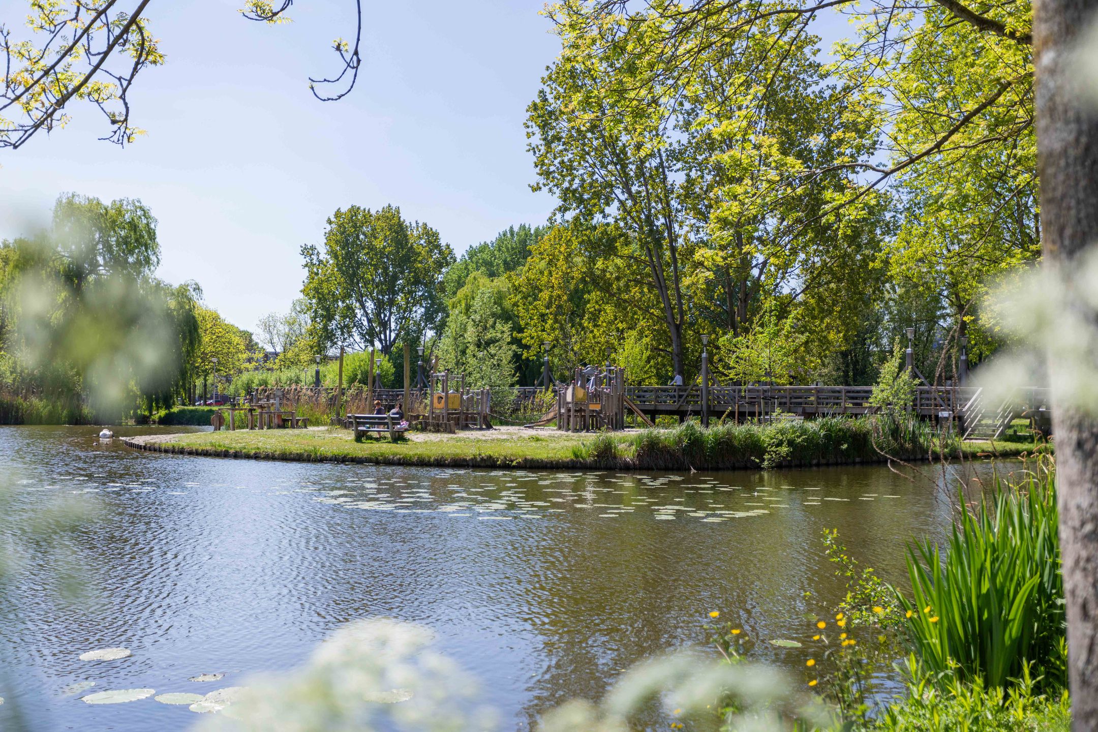 Photo 63 of Schapenweide 1