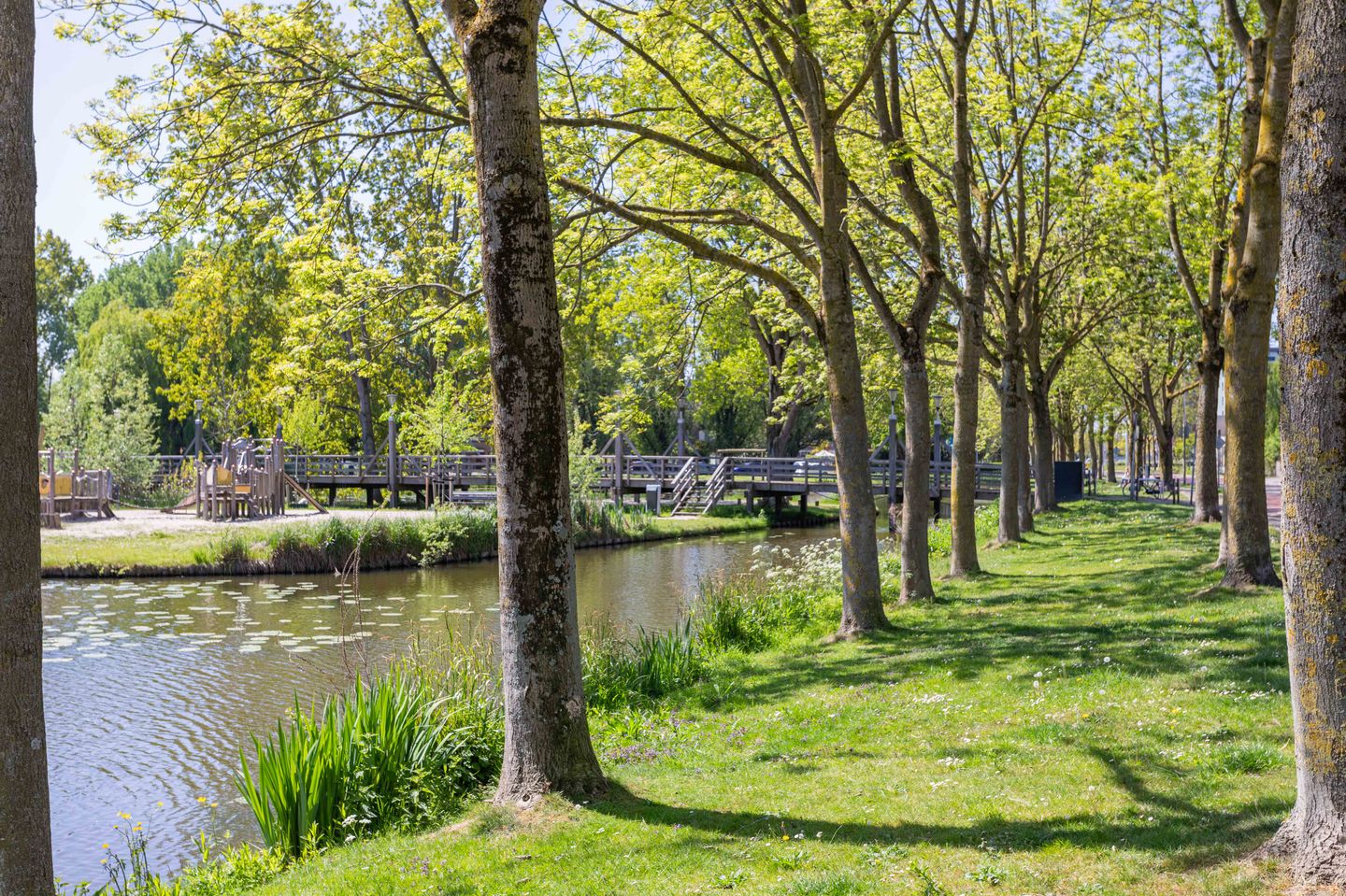 Photo 65 of Schapenweide 1