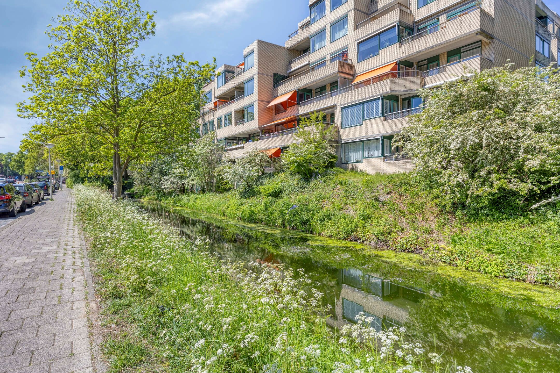 Foto 24 van Burgemeester Patijnlaan 374