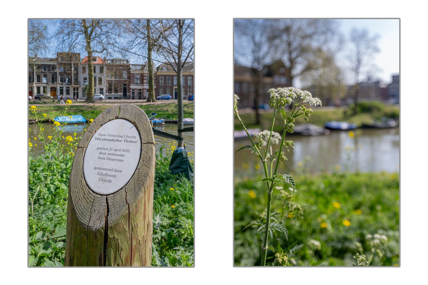 Photo 59 of Karmelietenhof 10