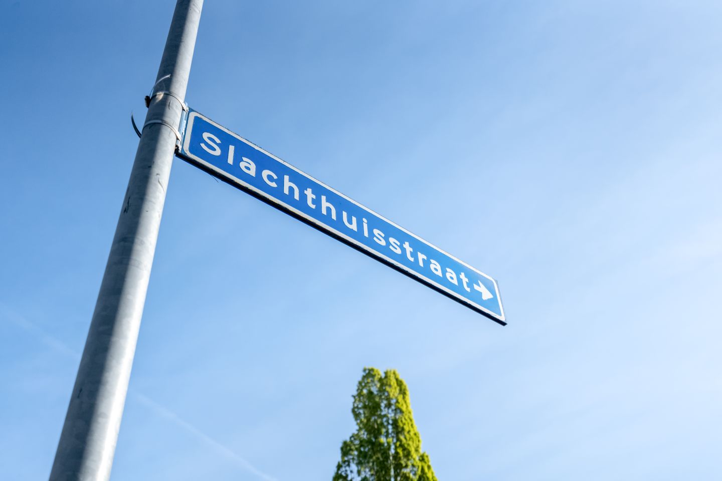 Foto 10 van Slachthuisstraat 262