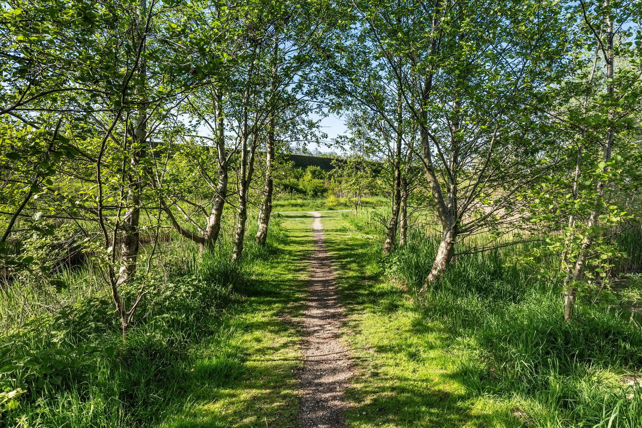 Foto 39 van Heerenhuis 14