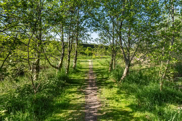 Foto 39 van Heerenhuis 14