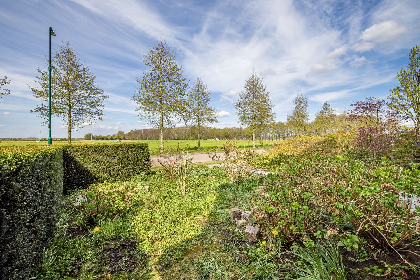 Foto 40 van Otselaan 34