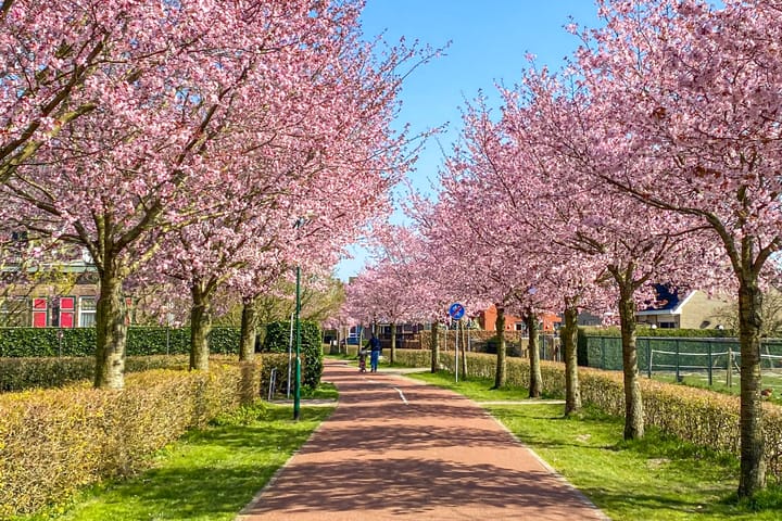 Foto 52 van Centraalspoor 33