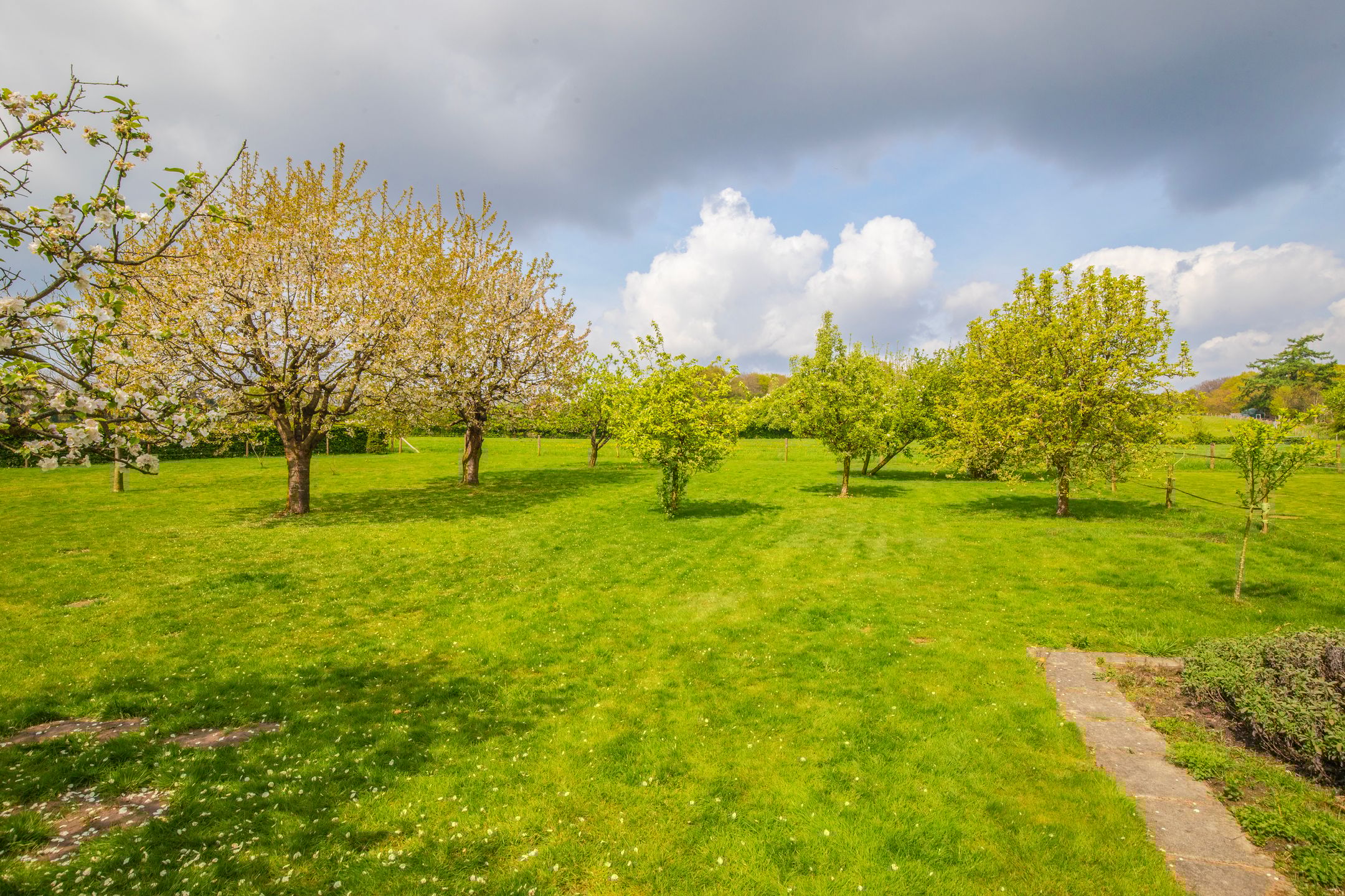 Foto 36 van Arnhemsestraatweg 28