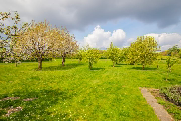 Foto 36 van Arnhemsestraatweg 28