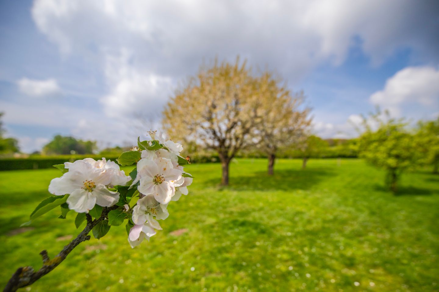 Foto 40 van Arnhemsestraatweg 28
