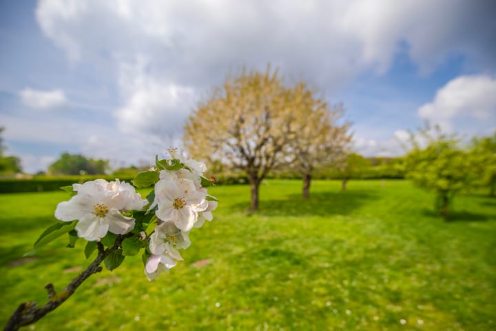 Foto 40 van Arnhemsestraatweg 28