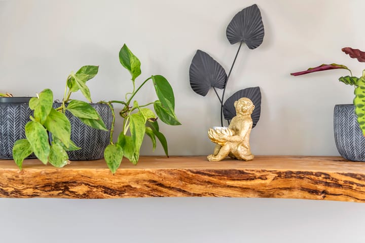 Photo 17 of Uiverstraat 5