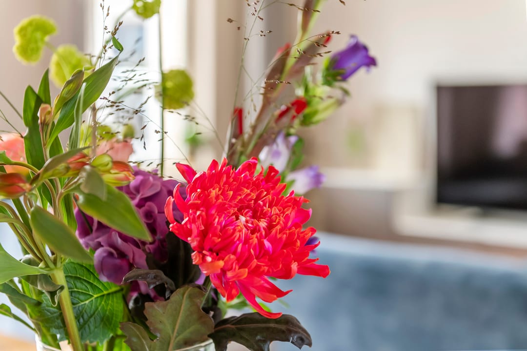 Foto 31 van Betuwe Singel 15