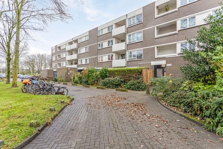Bekijk foto van Montfoorthof 138