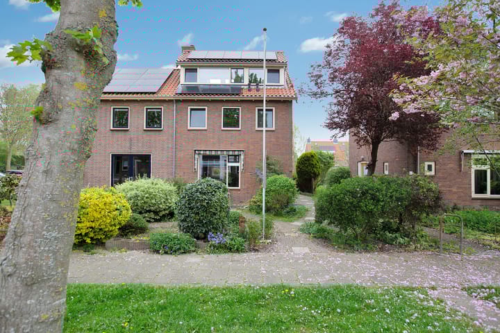undefined main image