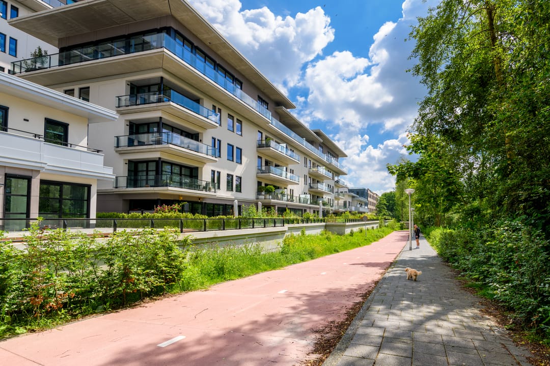 Photo 31 of Burgemeester Rijnderslaan 34