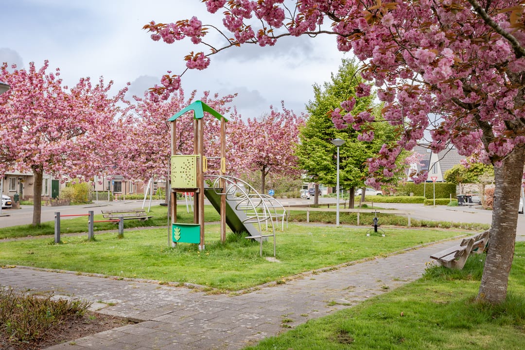 Photo 26 of Hornven 7