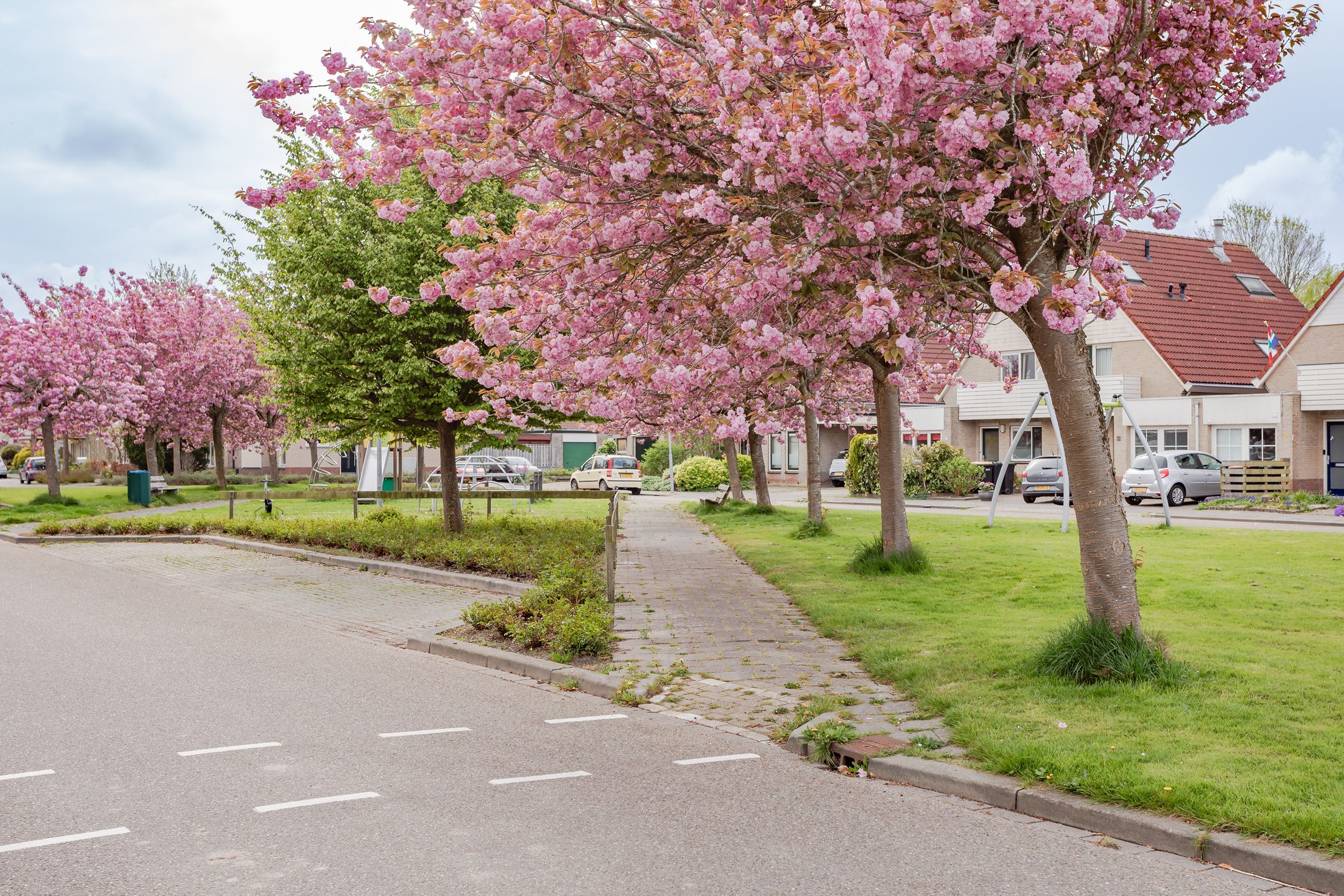 Photo 27 of Hornven 7