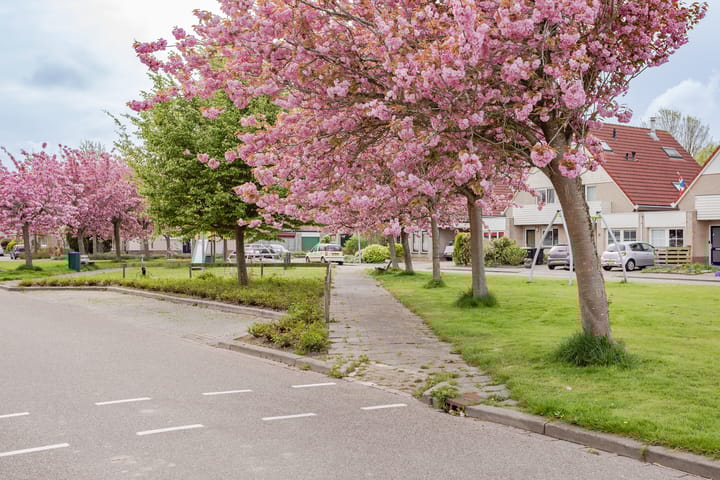 Photo 27 of Hornven 7