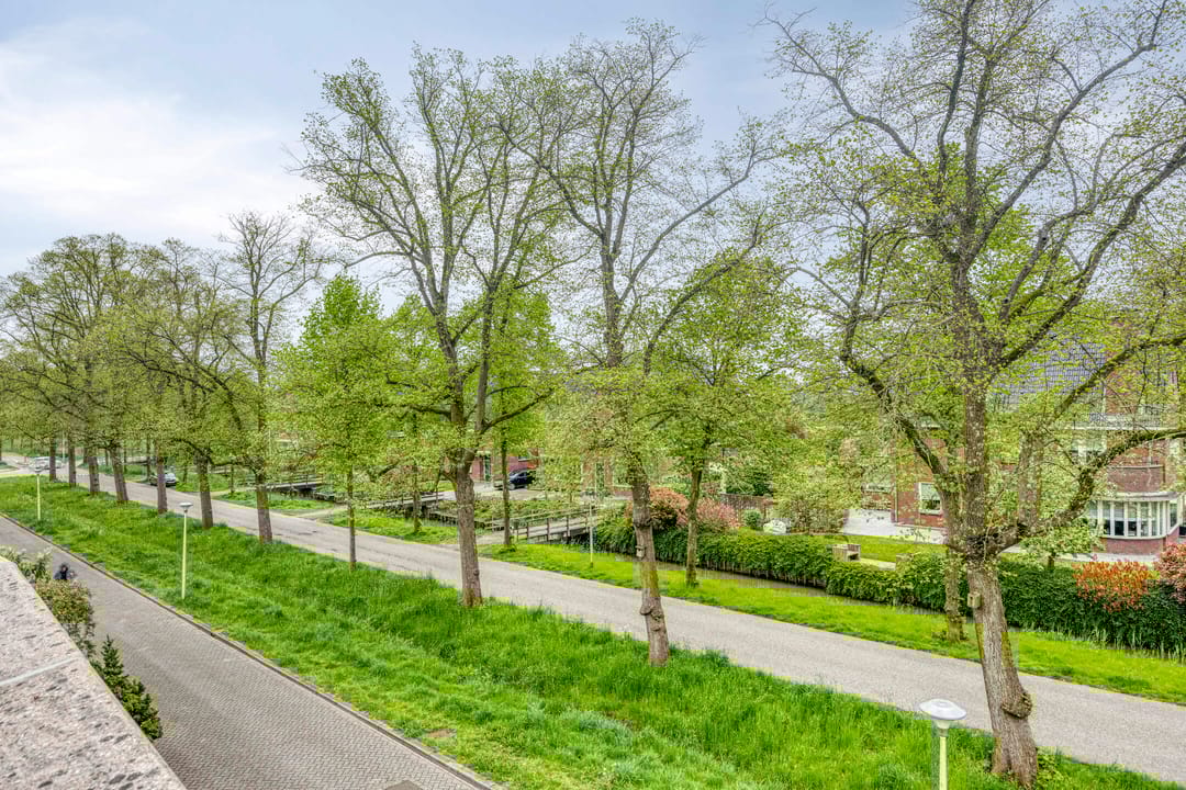 Foto 23 van Grenslaan 43