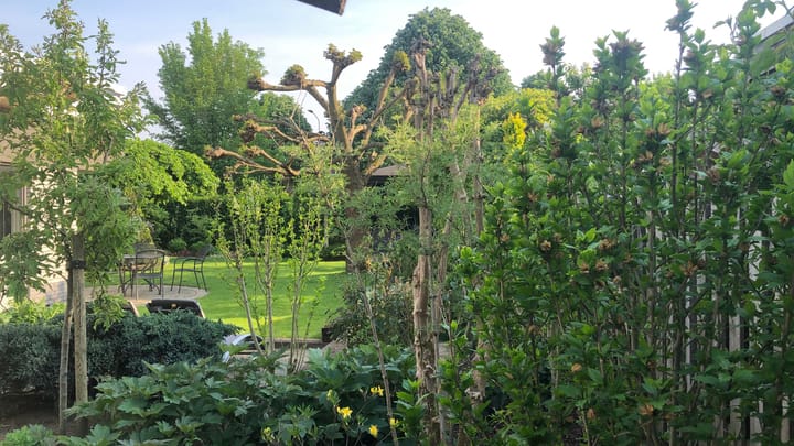 Foto 48 van Heeghstraat 48