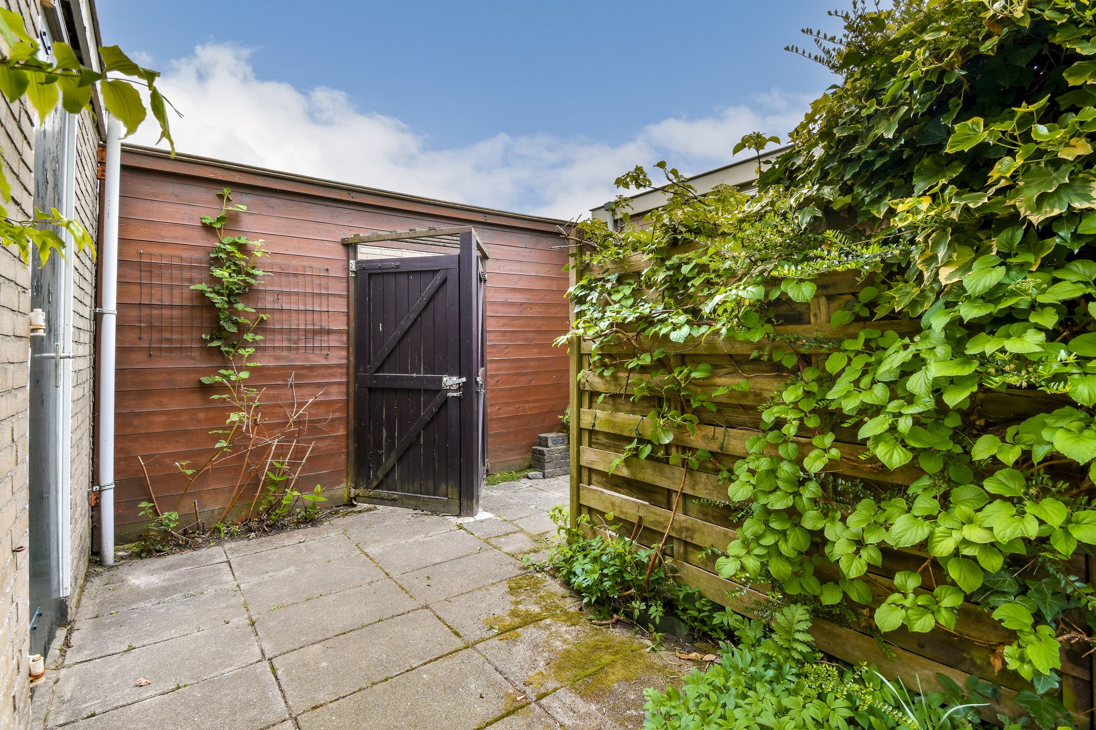 Foto 18 van Gravensingel 143