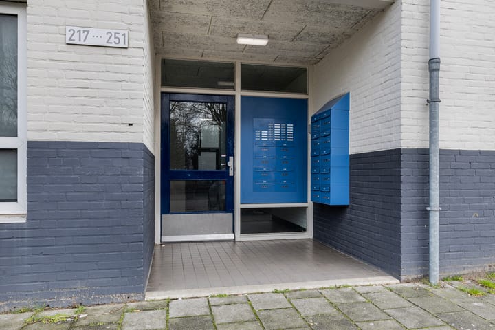 Foto 6 van Dostojevskisingel 223