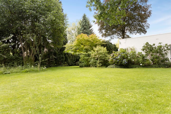 Foto 66 van Burggraafstraat 5