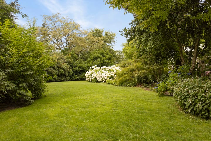 Foto 67 van Burggraafstraat 5