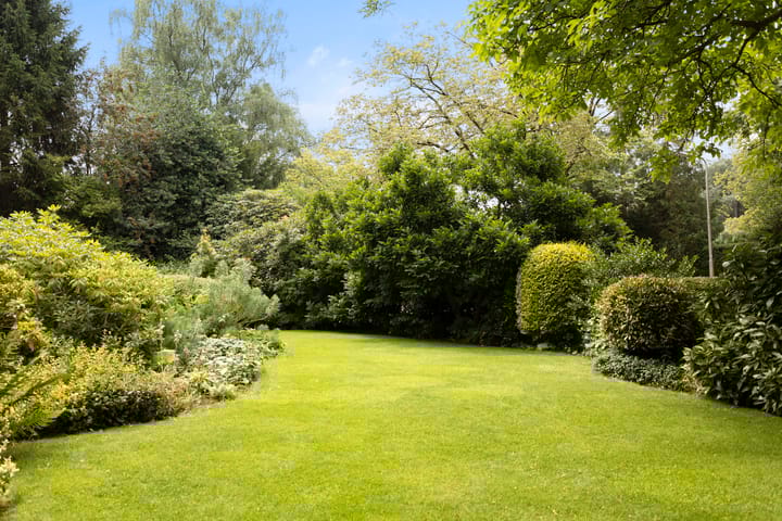 Foto 68 van Burggraafstraat 5