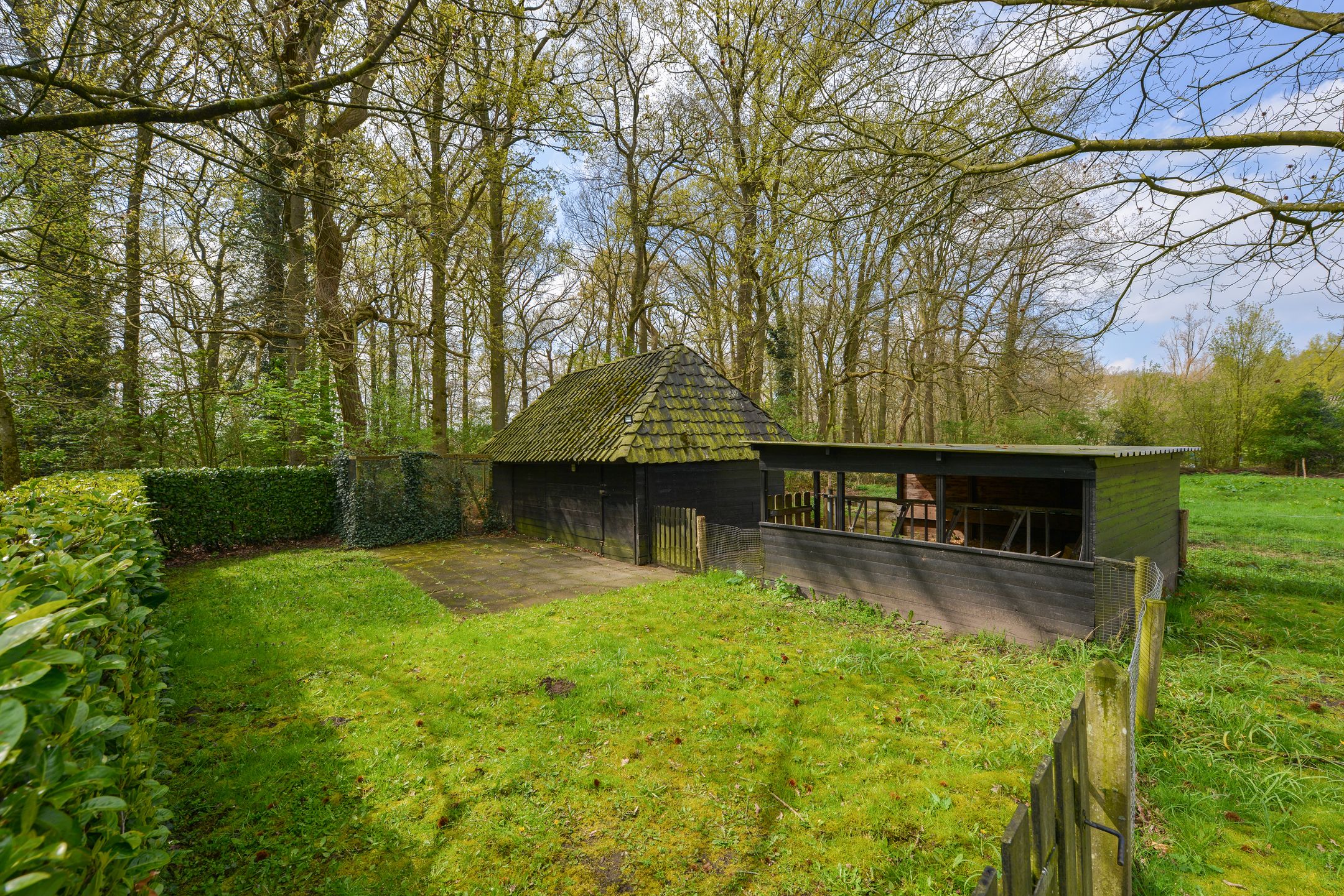 Foto 15 van Haanwijk 5