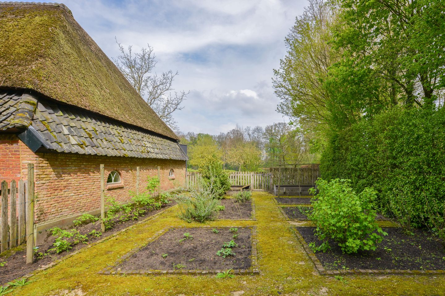 Foto 19 van Haanwijk 5