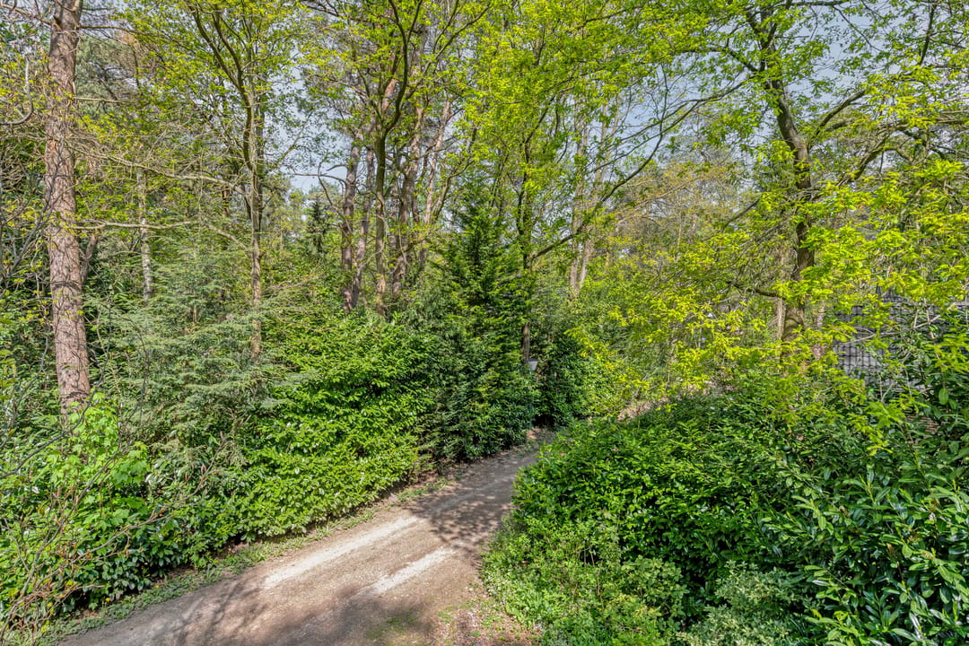 Photo 23 of Ruurloseweg 30-V03