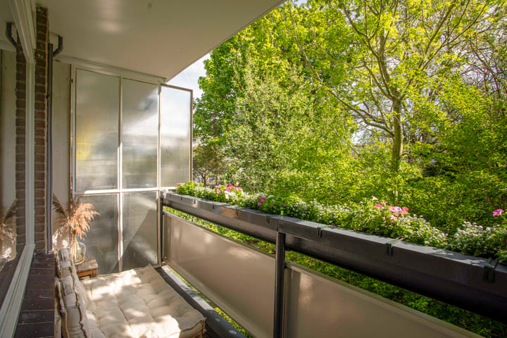 Foto 5 van Bolestein 310