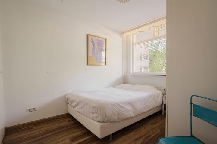 Foto 10 van Bolestein 310