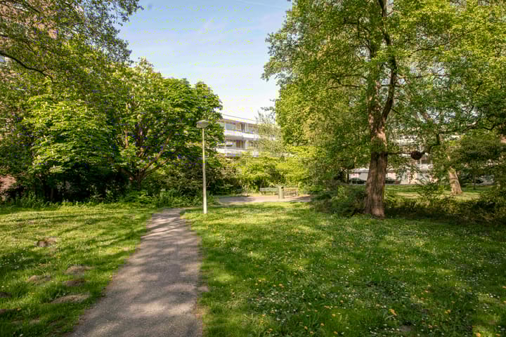 Foto 18 van Bolestein 310