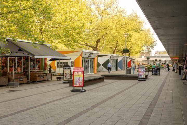 Foto 20 van Bolestein 310