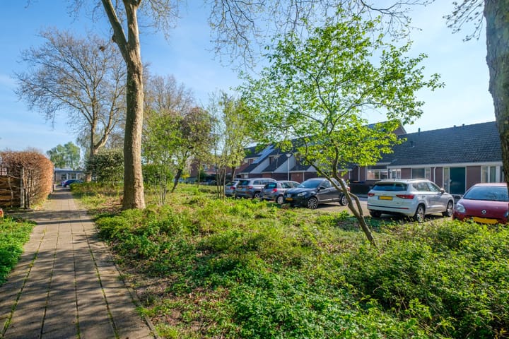 Foto 43 van De Kamp 9