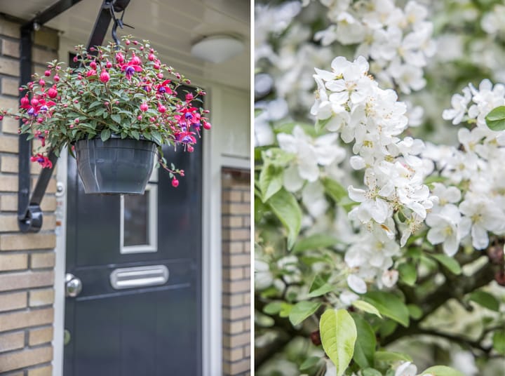 Foto 8 van Hortensiastraat 16