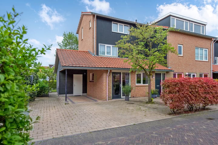 Pluimzegge 52