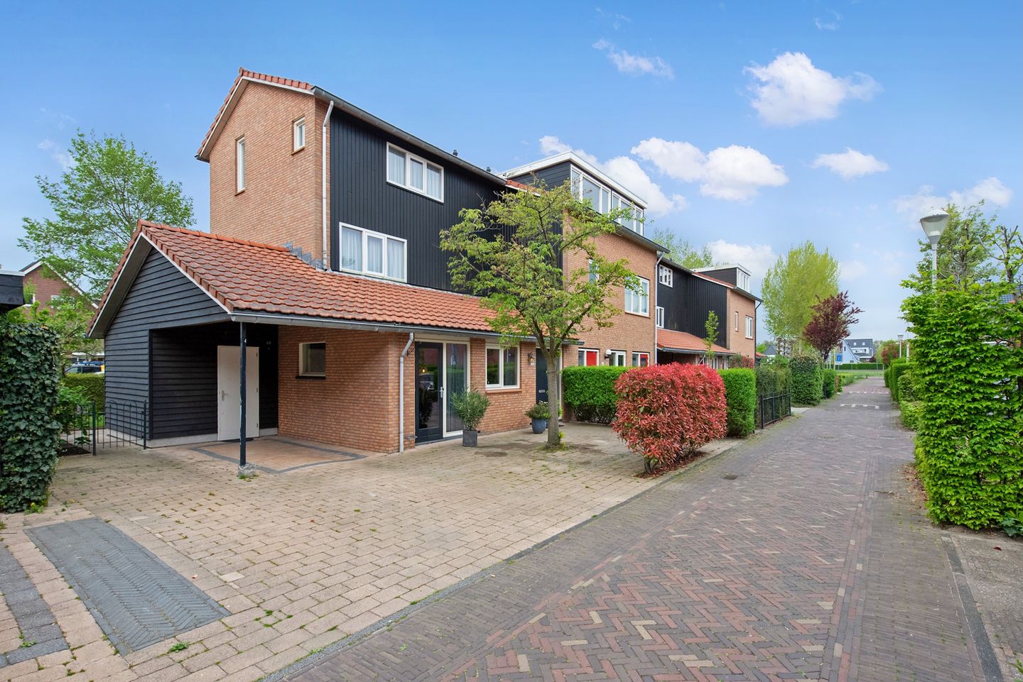 Foto 5 van Pluimzegge 52