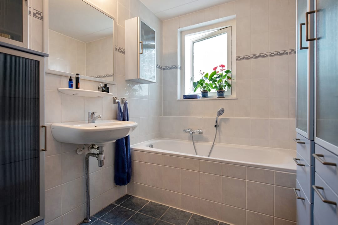 Foto 22 van Pluimzegge 52