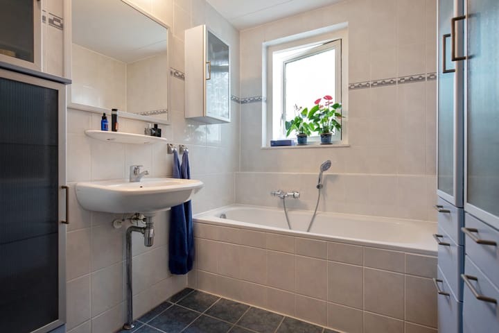 Foto 22 van Pluimzegge 52