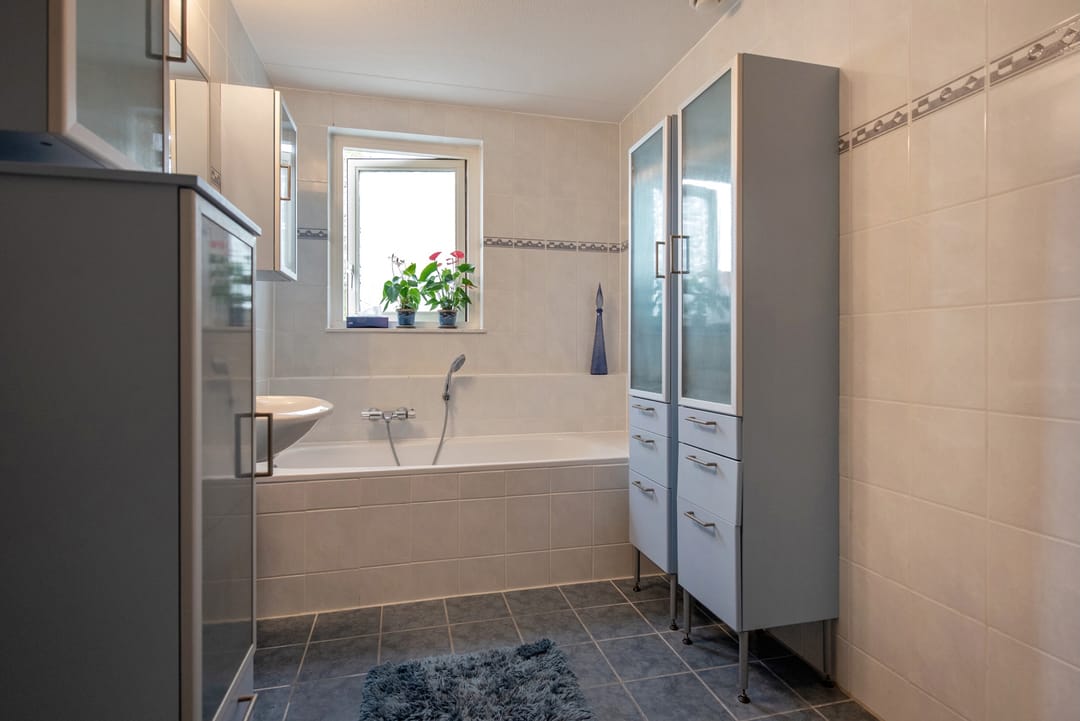 Foto 23 van Pluimzegge 52