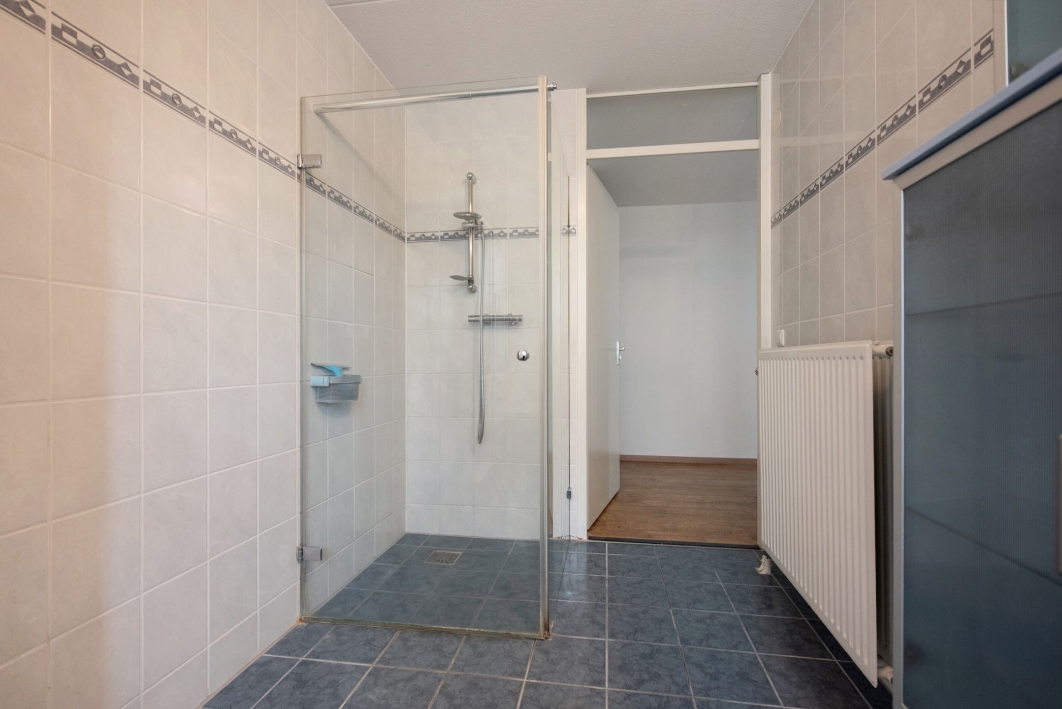 Foto 24 van Pluimzegge 52