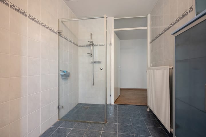 Foto 24 van Pluimzegge 52